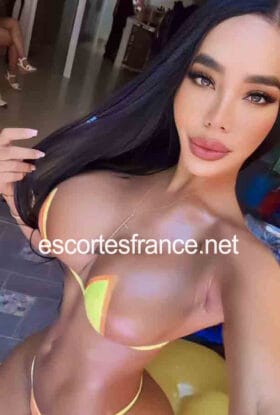 Bella Trans
